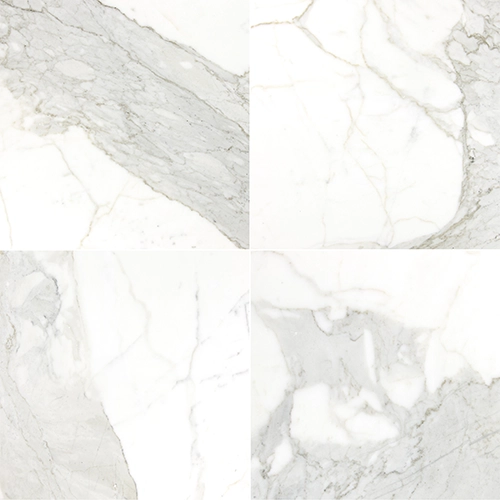 Calacatta Gold 24" x 24" Polished