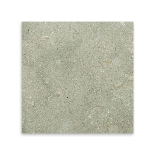 Seagrass 12" x 12" Honed
