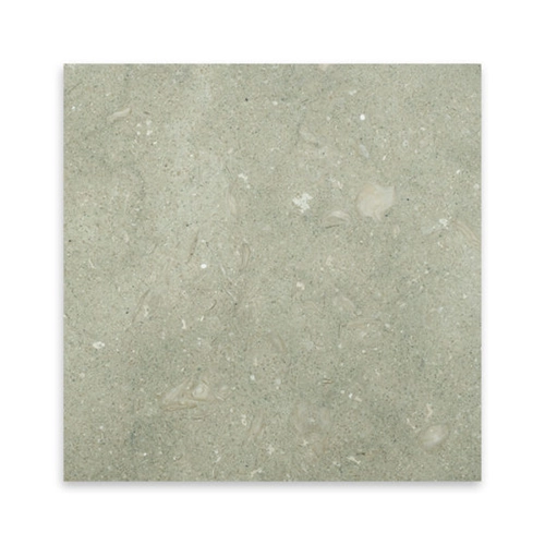 Seagrass 18" x 18" Honed