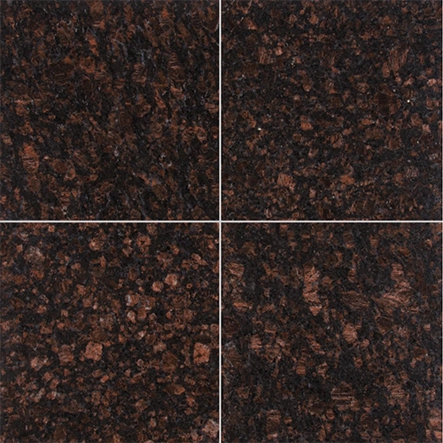 Tan Brown 12" x 12" Polished