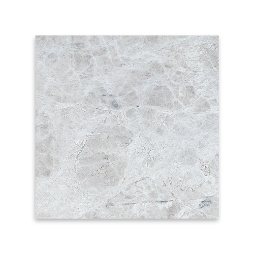 Tundra Grey 12" x 12" Polished