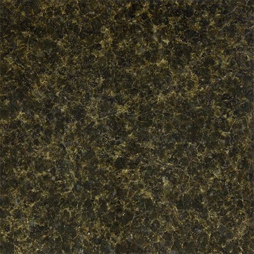 Verde Butterfly 12" x 12" Polished