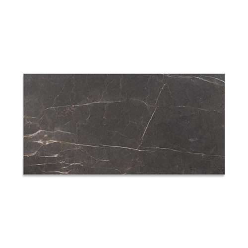 Graphite 12" x 24" Polished