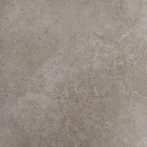 Ages 24" x 24" Matte Fossil