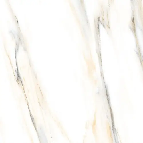 AGL Calacatta Gold Polished 24" x 24"