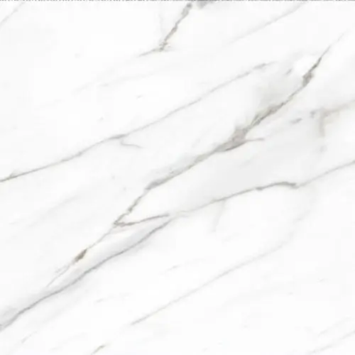 AGL Cararra Polished 24" x 24"