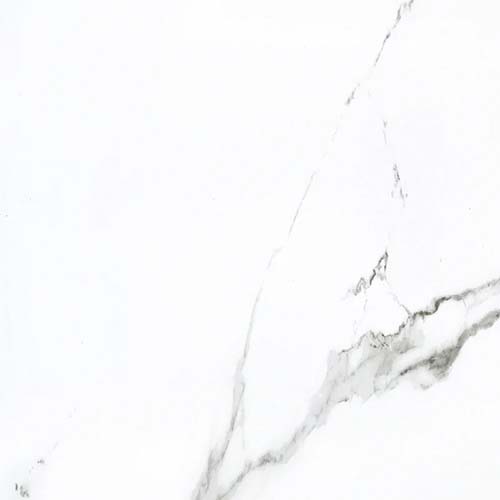 Calacatta Matte 24" x 24" Porcelain Tile