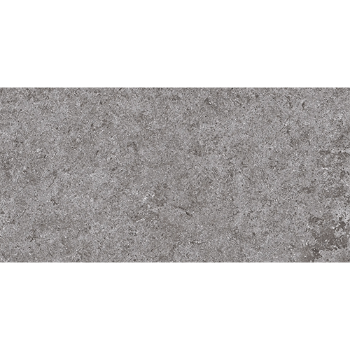 Lithology Basalt Grey 12" x 24"