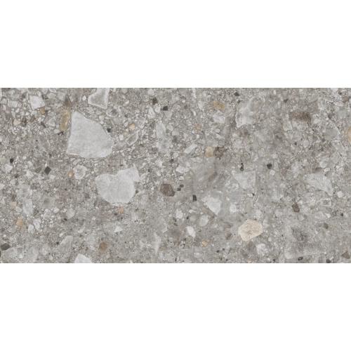 Unique Ground Gray 24" x 48" R