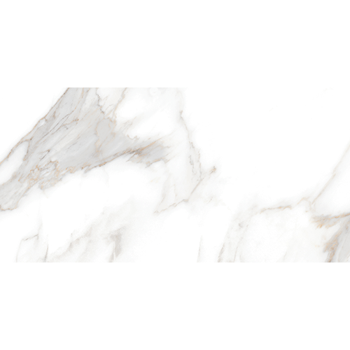 Livio Matte 24" x 48"