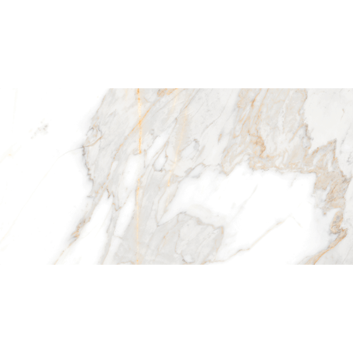 Livio Polished 12" x 24"