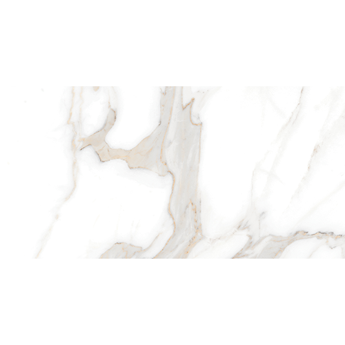 Livio Polished 24" x 48"