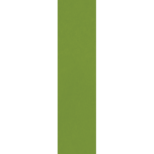 Colormatch Fern 2" x 8"