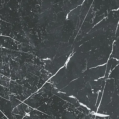Timeless Marquina