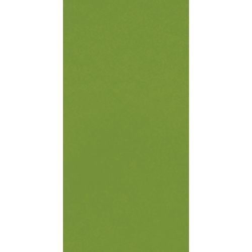 Colormatch Fern 3" x 6"