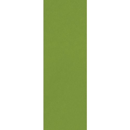 Colormatch Fern 4" x 12"