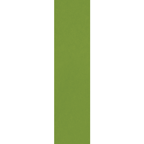 Colormatch Fern 4" x 16"