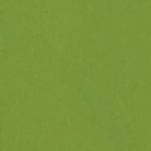 Colormatch Fern 4" x 4"
