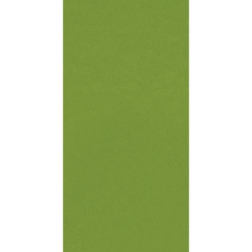 Colormatch Fern 4" x 8"