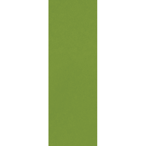 Colormatch Fern 6" x 18"