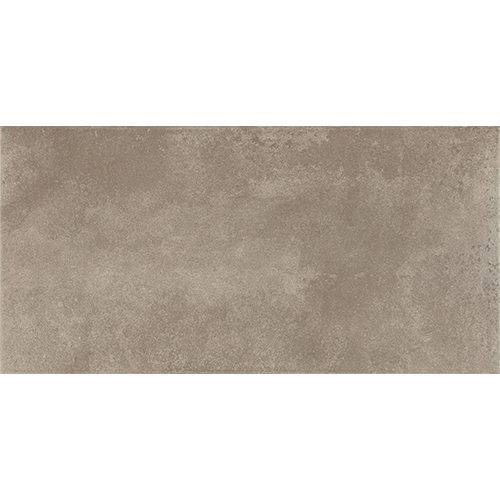 Emergent Pewter 12" x 24"