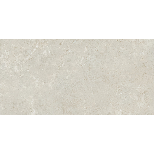 Florentine Argento 12" x 24"