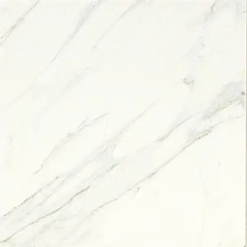 Florentine Carrara 24" x 24"