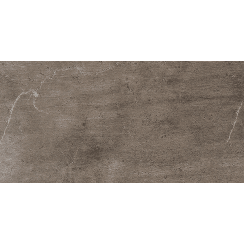 Imagica Matte Cosmo 12" x 24"