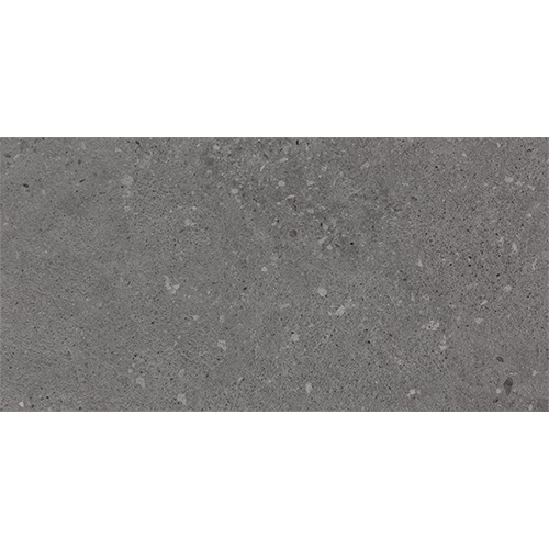Loften Coal Limestone 12" x 24"