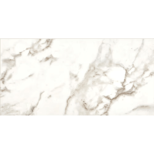 Marble Attache Calacatta 12" x 24"