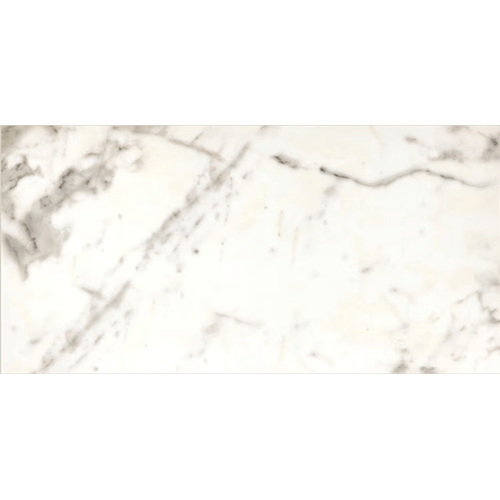 Marble Attache Calacatta 24" x 48"