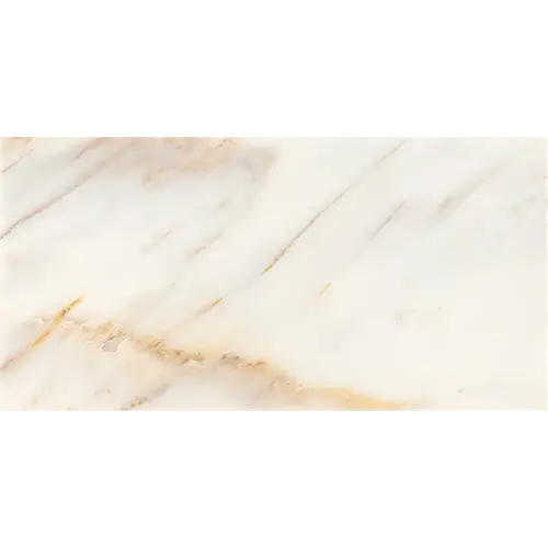 Gamma Polished Bella 12" x 24"
