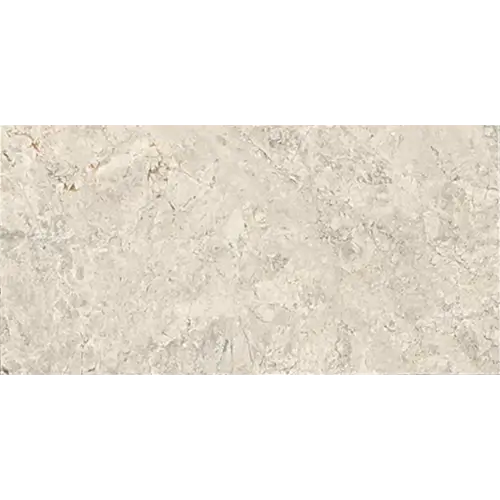 Limestone Arctic Gray 12" x 24"