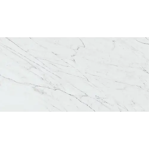 Marble Attache Lavish Satin Diamond Carrara 24" x 48"