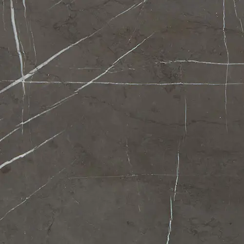 Marble Honed Antico Scuro 12" x 12"