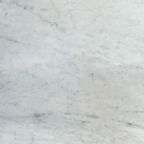 Marble Honed Carrara White 12" x 12"