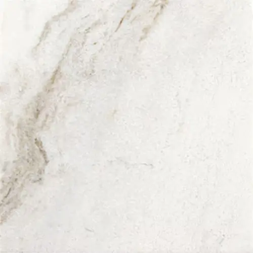 Marble Honed Daphne White 18" x 18"