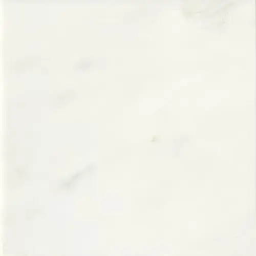 Marble Honed First Snow Elegance 12" x 12"