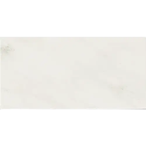 Marble Honed First Snow Elegance 12" x 24"