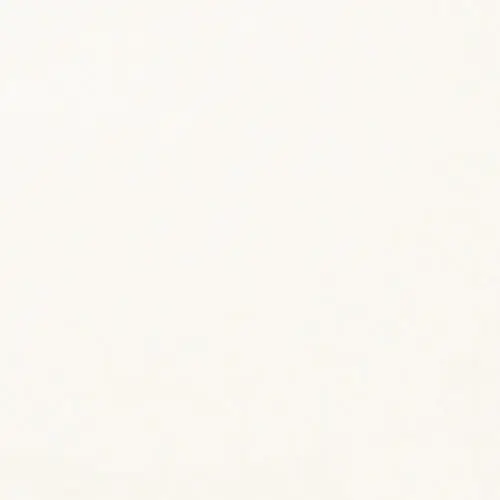 Marble Honed Thassos White 12" x 12"