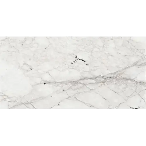 Marble Honed Venetian Calacatta 12" x 24"