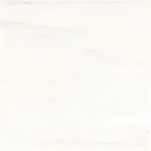 Marble Polished Contempo White 12" x 12"