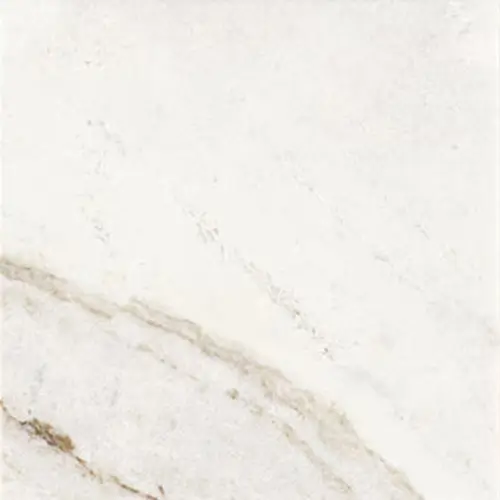 Marble Polished Daphne White 12" x 12"