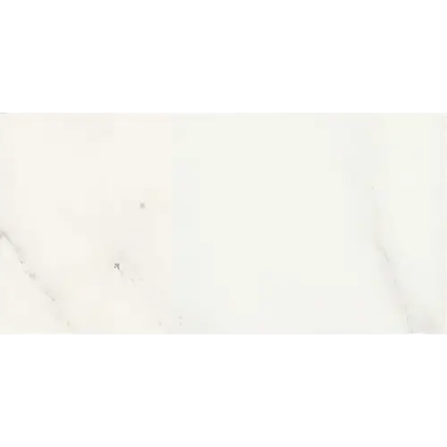 Marble Polished First Snow Elegance 12" x 24"