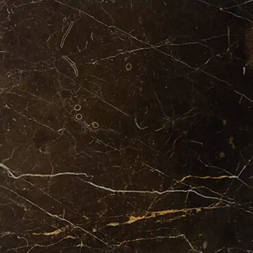 Marble Polished St. Laurent Oriental 12" x 12"