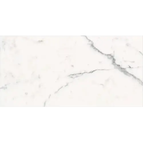 Marble Polished Statuario 12" x 24"