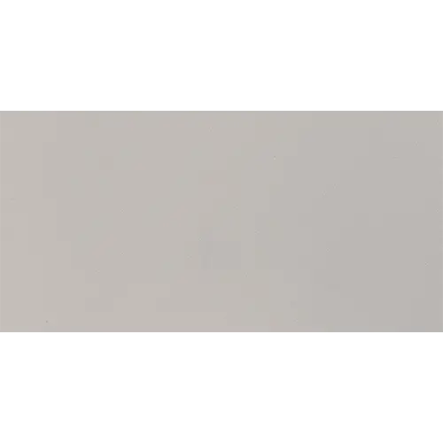 Median Light Gray 12" x 24"