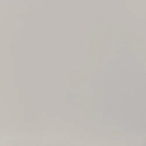 Median Polished Light Gray 24" x 24"