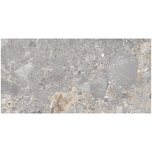 Porcelain tile in Harmonic Coda Stellata Matte 12x24