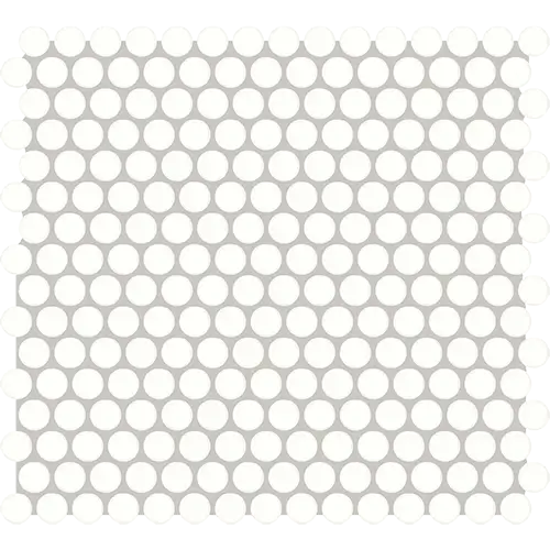 Color Story Glossy Penny Rounds Ice White 12" x 14"